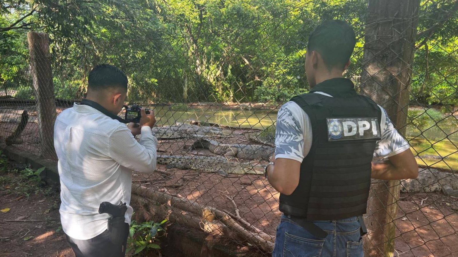 Investigan a guardia que lanzó perro a poza con cocodrilos en Cortés 1 principal policia guardia cocodrilo 1