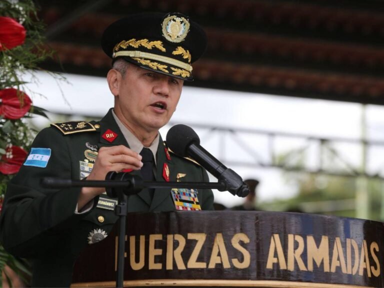 roosevelt hernandez justicia querell 10927503 20250601125828