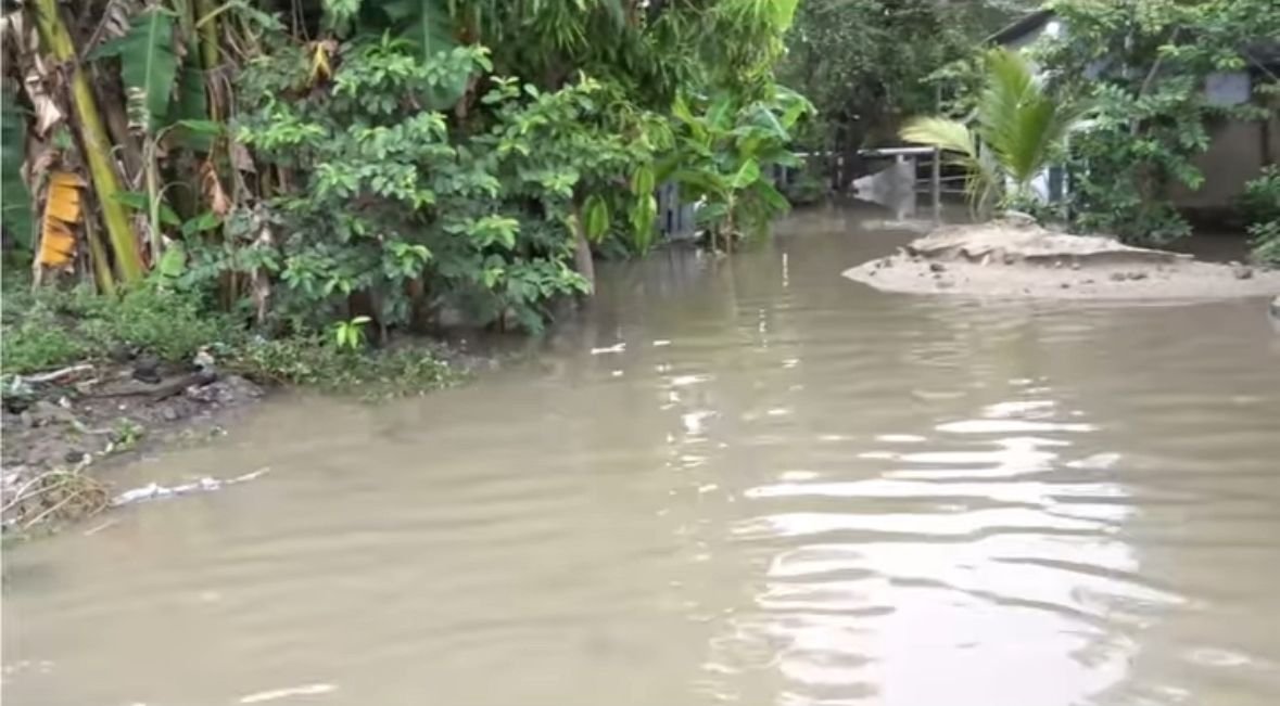 Familias de la colonia Morales 3 en Chamelecón pierden sus pertenencias tras intensas lluvias 1 0d548d53 dfb4 4b4d a95c b0efec3ac171