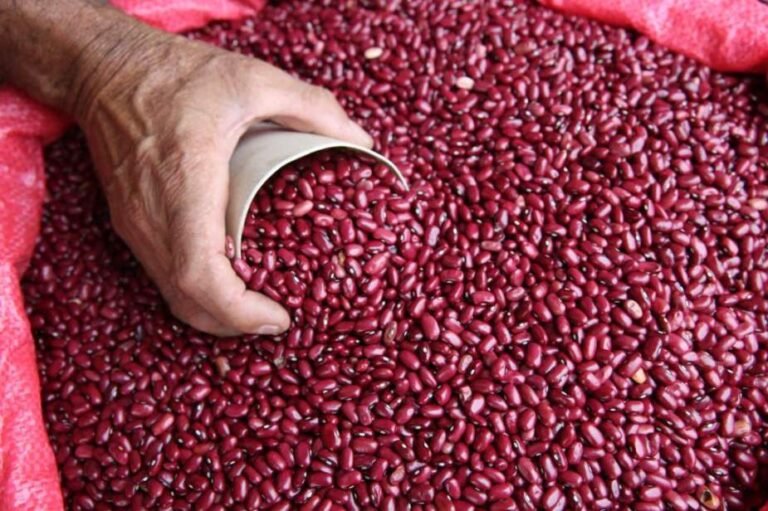 BANASUPRO sin frijoles: consumidores denuncian desabastecimiento pese a reservas oficiales 5 Frijoles HN