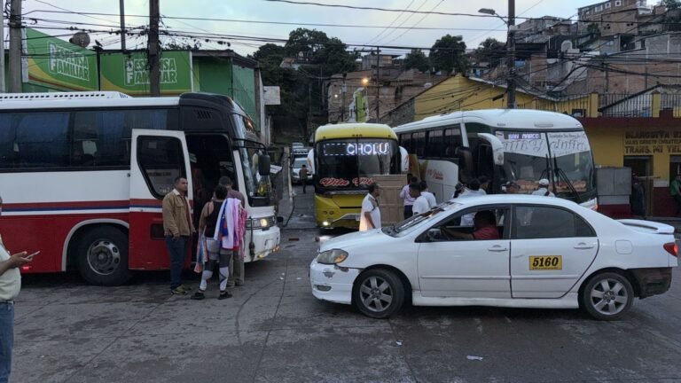 WhatsApp Image 2025 10 01 at 5.51.57 AM