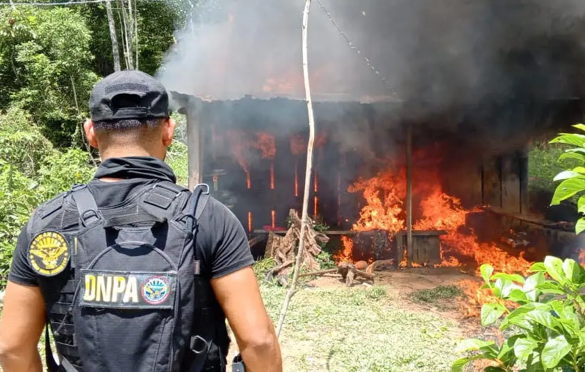 Erradican 40 mil plantas de coca y destruyen laboratorio en la Sierra de Agalta, Olancho 1 incineracion laboratorio Olancho.jpg