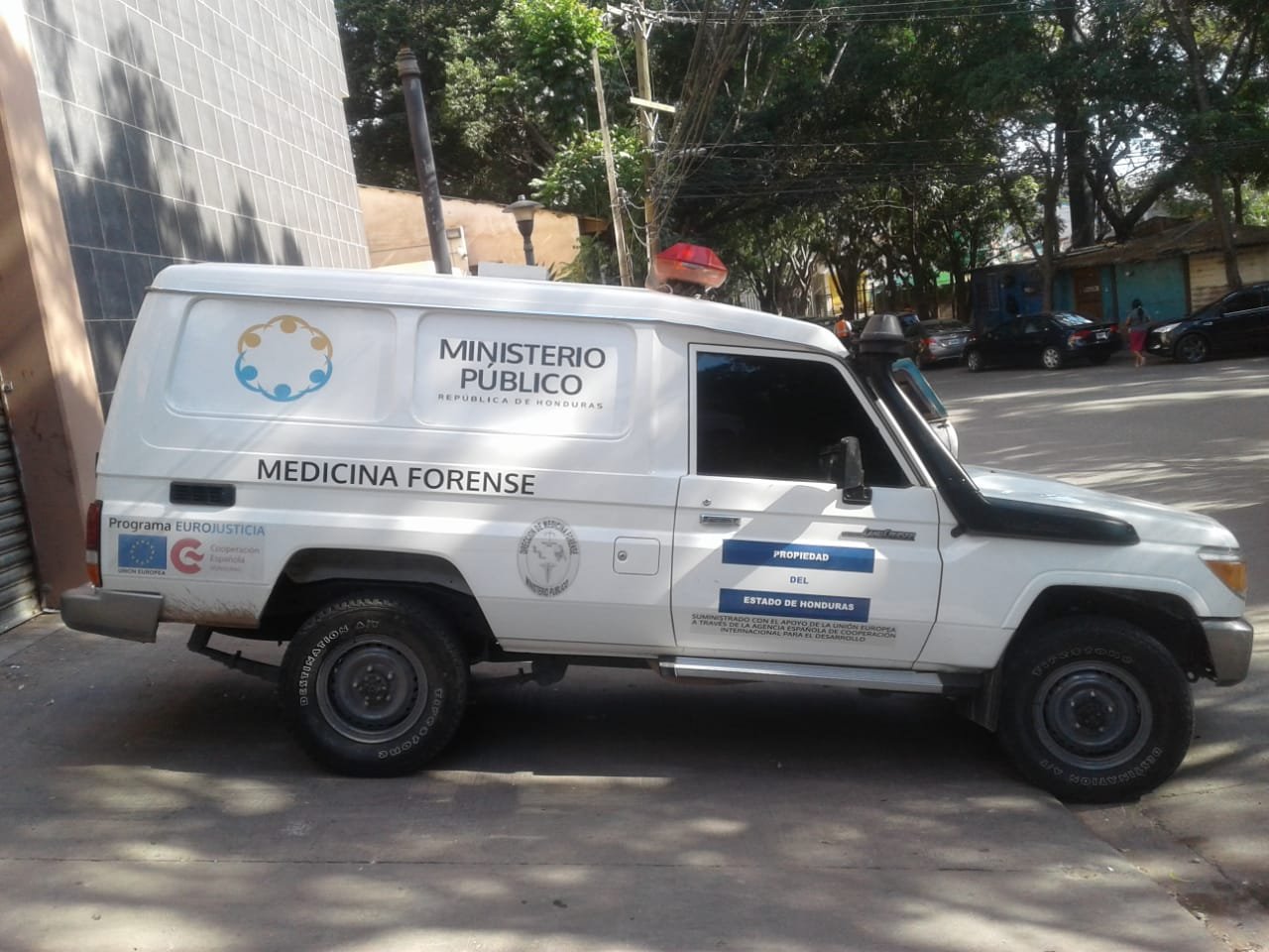 medicina forense cuerpos