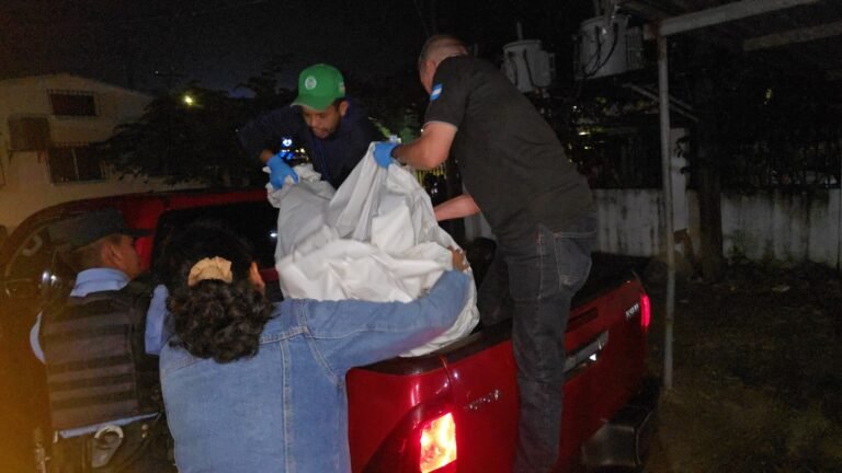 585302065 2301113060710546 2932035424920795174 n