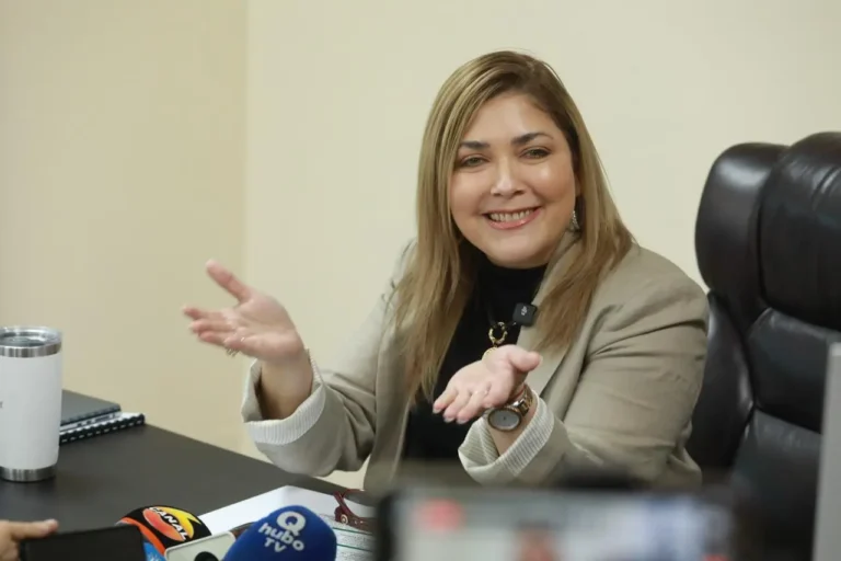 CNE insiste en la participación ciudadana a días de las elecciones del 30 de noviembre 9 Ana Paola Hall presidencia 17.09 4.jpeg