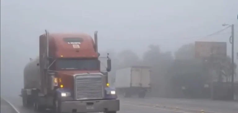 CA 5 densa neblina.jpg