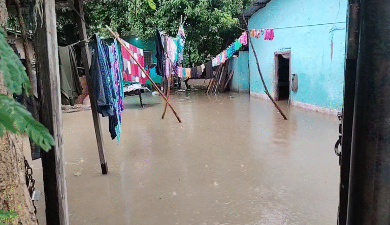 Captura de pantalla 2025 11 11 084246