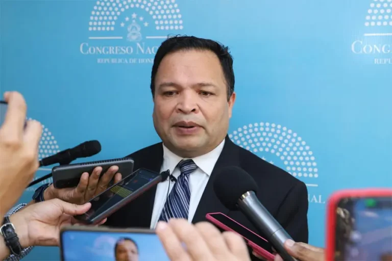 Diputado de Libre: Magistrados del TJE podrían ser investigados penalmente 17 Jari Dixon.jpg