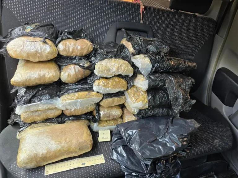 Marihuna decomisada.jpg 1