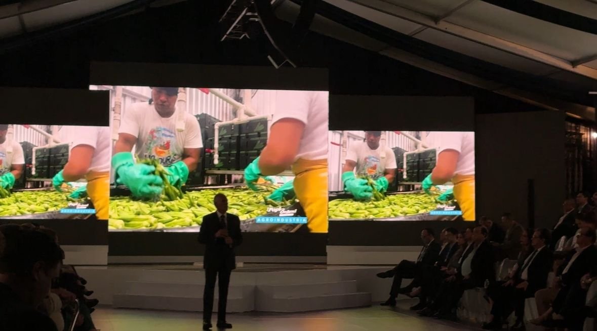 d3eaa142 419d 4177 b0b7 2f6487b0c609