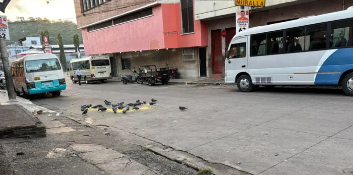 Ruta Nueva Providencia–Centenario suspende servicio por cobro de extorsión 4 ruta.jpg