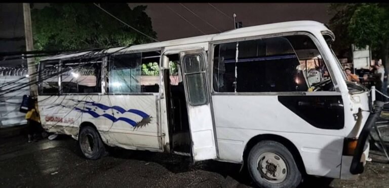 597781109 1297452062408230 8460491855007516550 n