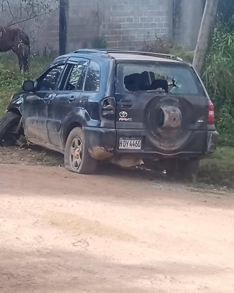 605506868 883744354534654 2447527511612566648 n