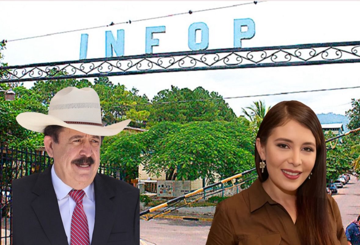 ¿Coincidencia o jugada calculada? Liberalismo y Libre llaman a movilizarse a la misma hora 1 83921a13 97b0 4c75 b911 5104de146bc2