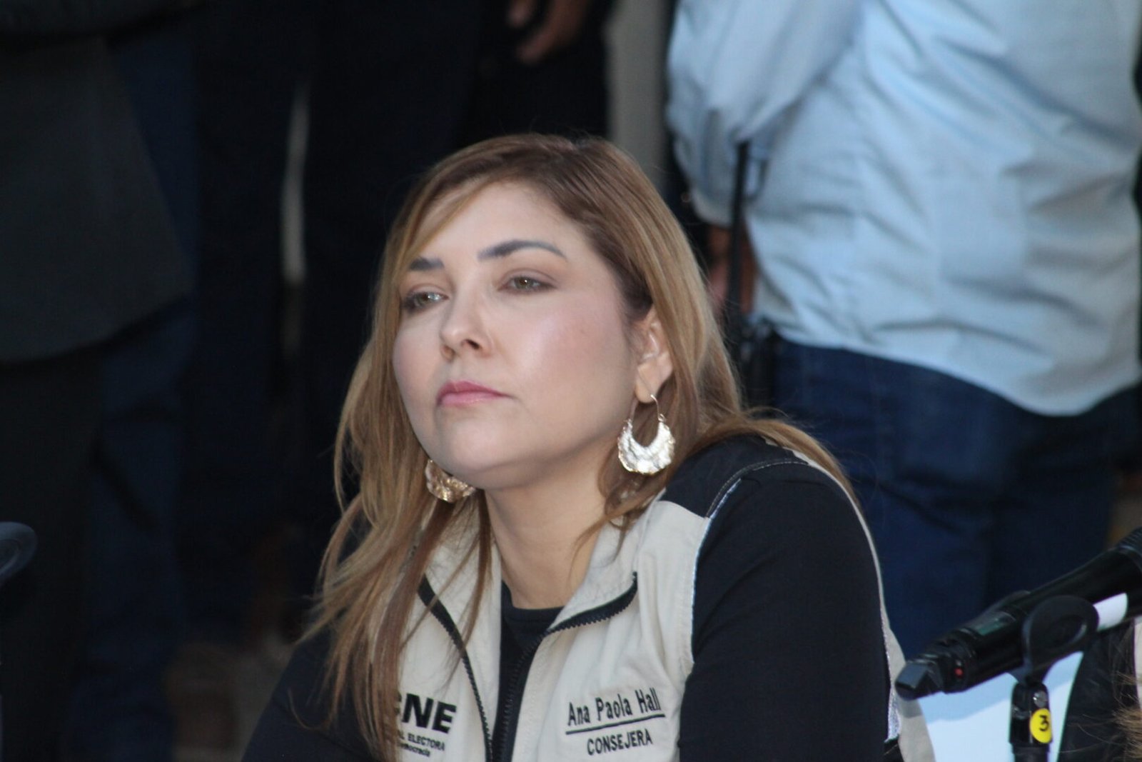 Ana Paola Hall denuncia presiones y defiende las elecciones en Honduras 1 Ana Paola Hall 7