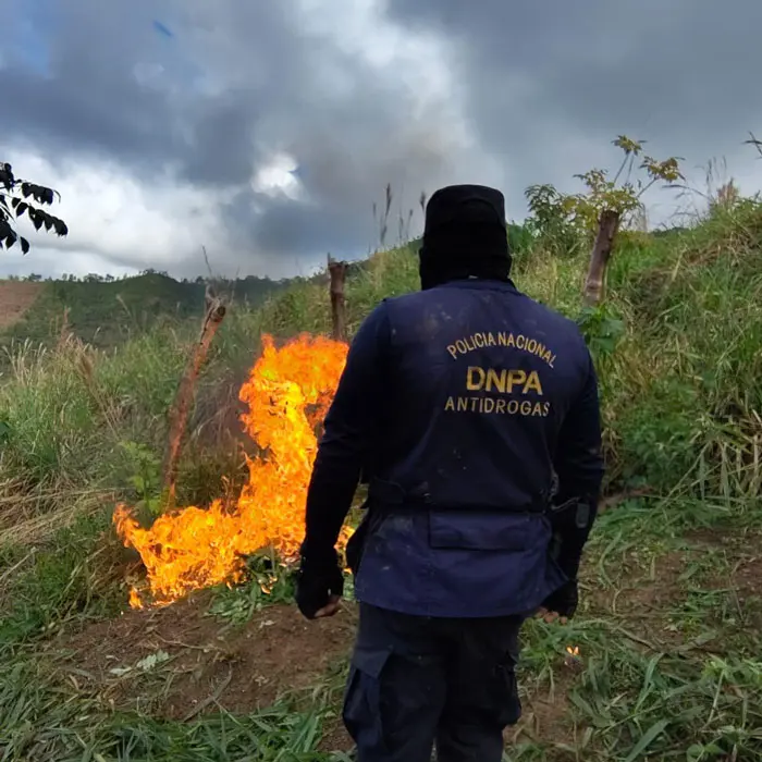 DROGA ERRADICADA.jpg