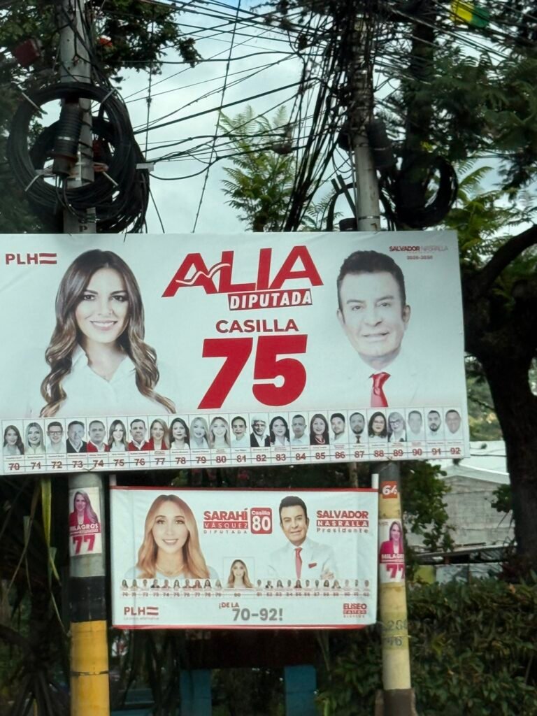 Vecinos presionan a partidos para quitar propaganda electoral en la capital 2 G7QUs iW0AAFiKy