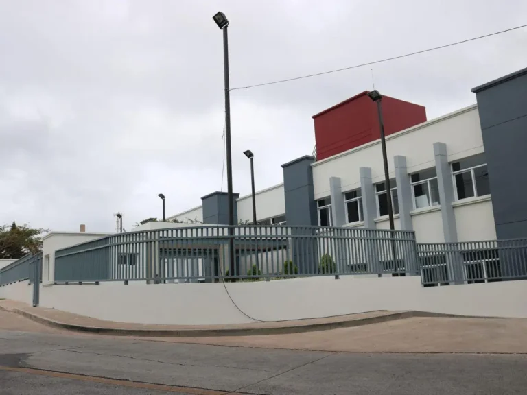 image asj 6976533 20240312172320