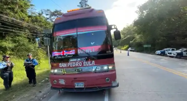 Niña de 3 años muere en bus rumbo a Tegucigalpa para recibir quimioterapia 3 menor bus.jpg