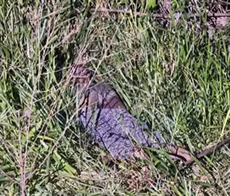 Mujer asesinada cerca de un motel en Juticalpa; hijo fue rescatado 2 muerte de mujer Juticalpa.jpg