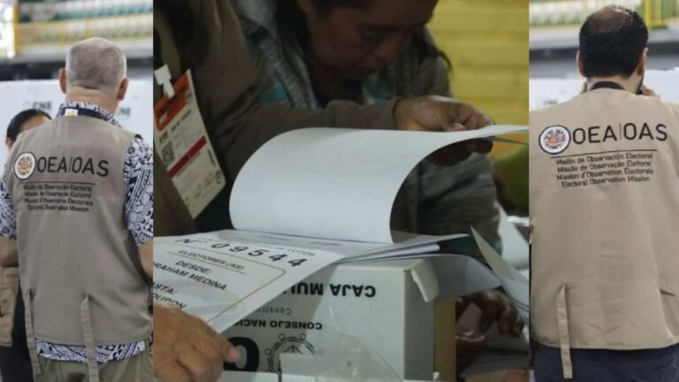 oea elecciones honduras 2