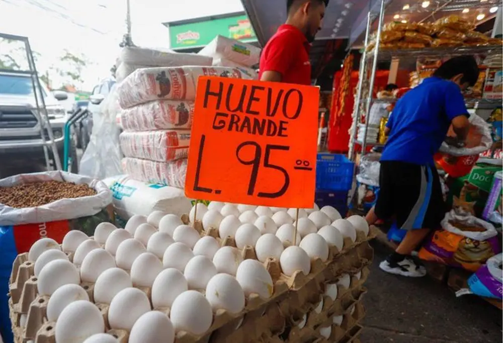 Huevos suben de precio en plena temporada navideña en Tegucigalpa 1 precios huevos.jpg 1