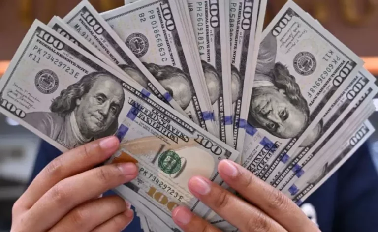 6848765228999 993x610