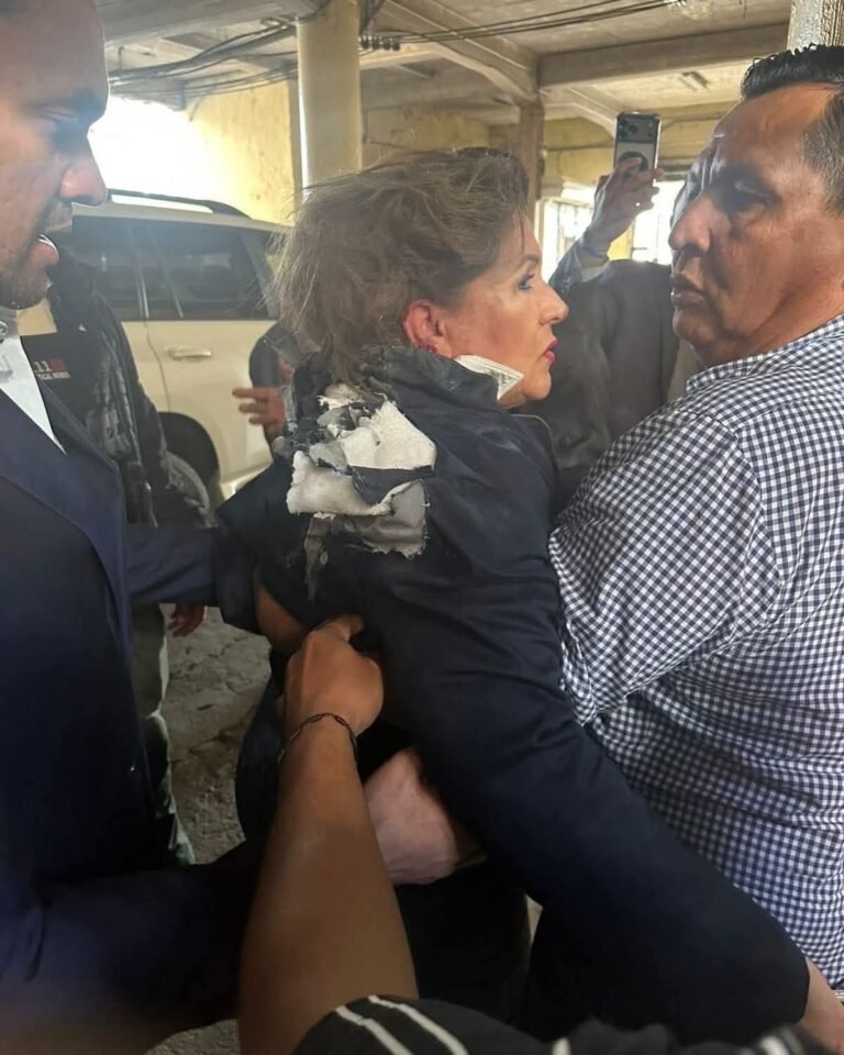 Partido Nacional condena ataque contra Gladis Aurora López en el Congreso 1 9590e235 0255 415d 9307 e351b6783a54