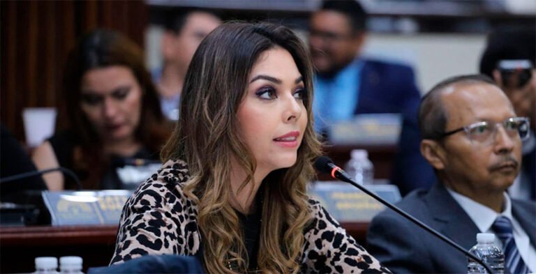 Maria Antonieta Mejia designada tito asfura