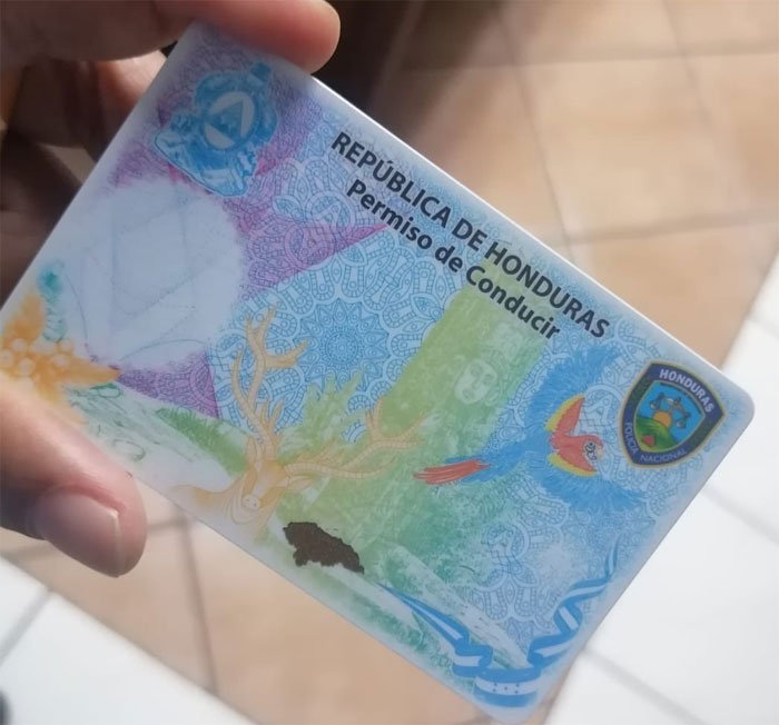 Permiso de conducir blanco