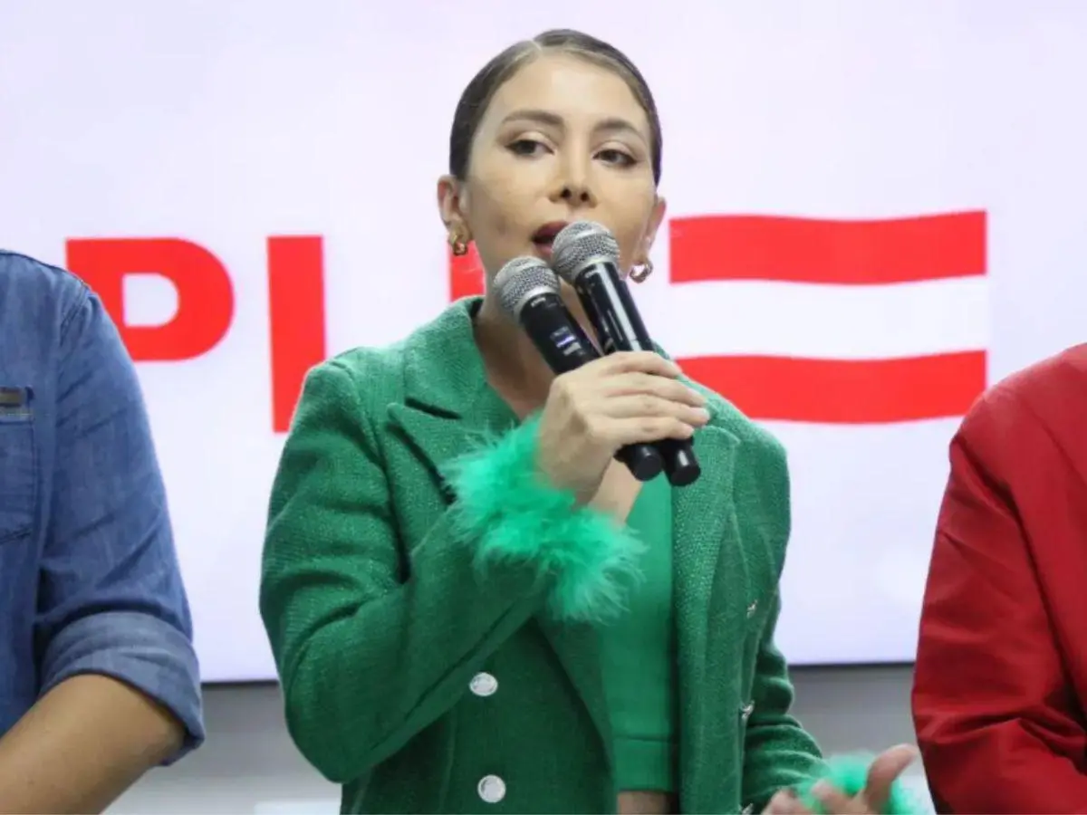 iroshka elvir 13005700 20251221153952