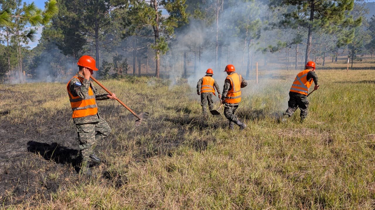 11f6be66 ee82 42a3 b424 7b2ae021002d