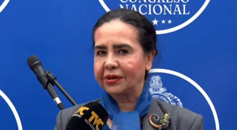 Luz Ernestina Mejía exige freno a abusos de poder desde la presidencia de la CSJ 2 Luz Ernestina Mejia.jpg