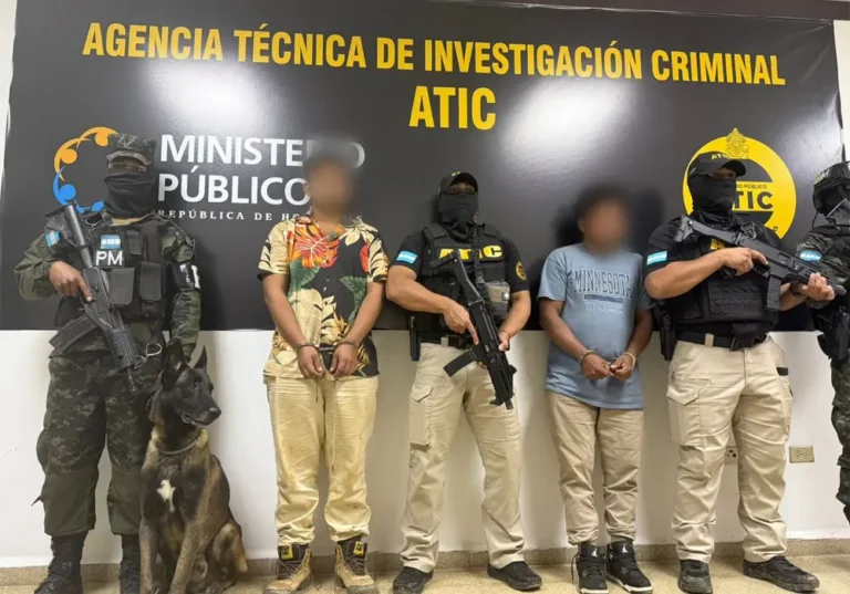 Omoa requerimientos.jpg