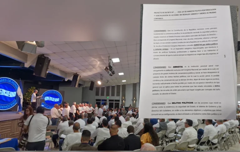 amnistia p ley 1536x973.jpg