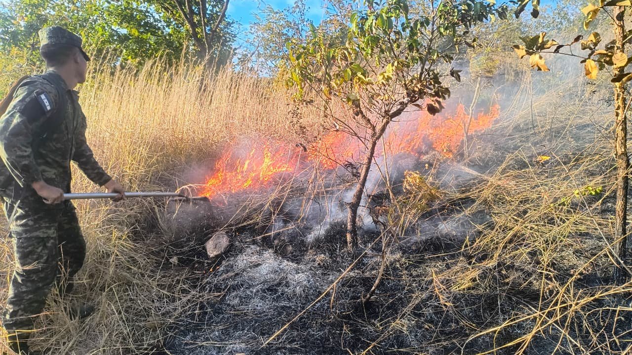 b0071537 211e 4c81 b247 a9a26d83fb77