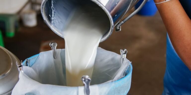 ¡Negativo Entre un 30 y 40 ha bajado la produccion de leche en Olancho por los altos costos 1140x570 1