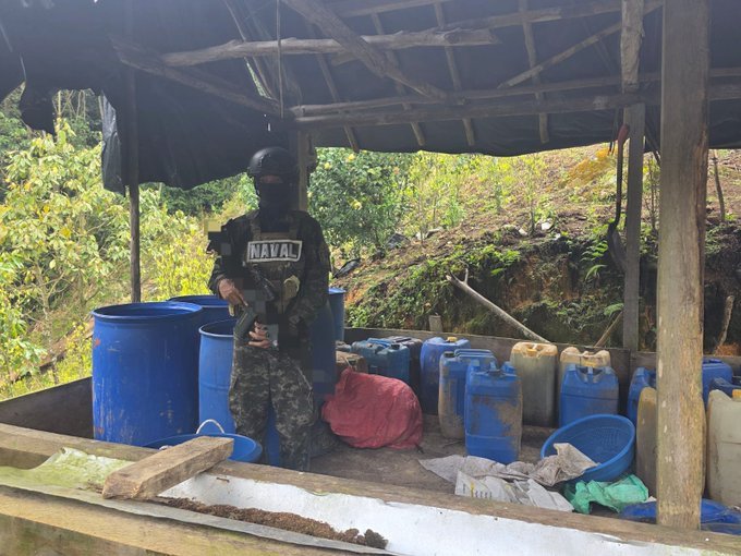 Fuerzas Armadas descubren cultivo masivo de coca en Tocoa 2 HCc8OvcbcAApQWD 1