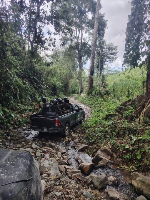 Fuerzas Armadas aseguran 11,000 plantas de coca en Colón en golpe al narcotráfico 2 HCmebrcbQAAcRfL
