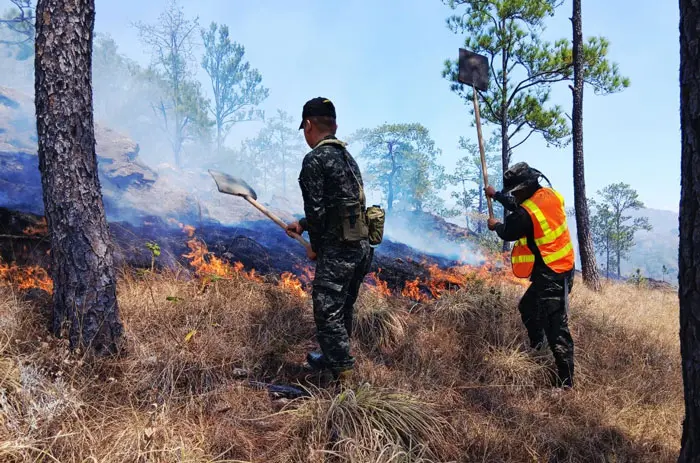 FFAA sofocan siete incendios forestales durante fin de semana en Honduras 2 INCENDIOS FORESTALES.jpg