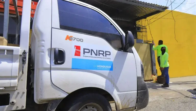 ENEE pagaba 27 millones al mes por alquiler de 750 vehículos en programa fallido 3 Programa Nacional Reduccion Perdidas.jpg