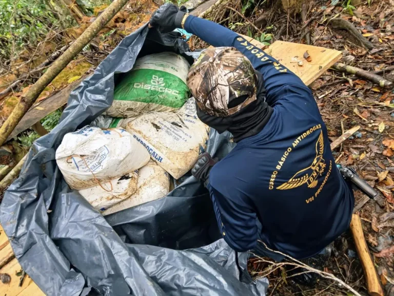 Golpe al narcotráfico: aseguran 56 mil arbustos de coca y laboratorio en Iriona 3 operativo drogas colon.jpg